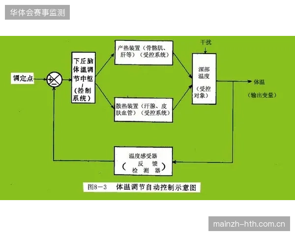 赛事物资调配机制持续低效是否揭示了大型赛会组织架构的根本缺陷？